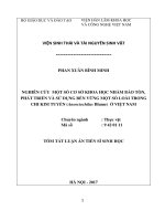 Tóm tắt Luận án tiến sĩ Sinh học: Nghiên cứu một số cơ sở khoa học nhằm bảo tồn, phát triển và sử dụng bền vững một số loài trong chi kim tuyến (Anoectochilus Blume) ở Việt Nam