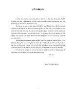 Luận án tiến sĩ Kỹ thuật: Nghiên cứu chế tạo và tính chất nhạy khí của các cấu trúc dị thể của SnO2 và ống nano carbon