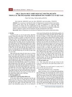 Thực trạng phát triển đội ngũ trưởng bộ môn trong các trường đại học theo định hướng nghiên cứu ở Việt Nam