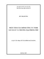 Luận văn thạc sĩ Tài chính Ngân hàng: Phân tích tài chính công ty TNHH sản xuất và thương mại Phong Phú