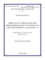 Tóm tắt Luận án tiến sĩ Hóa học: Nghiên cứu xử lý hiệu quả DDT bằng phương pháp quang xúc tác sử dụng vật liệu nano compozit Fe - CuOx /GO; SBA – 15