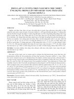 Phân lập và tuyển chọn nấm men chịu nhiệt ứng dụng trong lên men rượu vang trái giác (Cayratia trifolia L.)