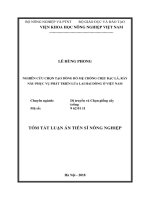 Tóm tắt Luận án tiến sĩ Nông nghiệp: Nghiên cứu chọn tạo dòng bố mẹ chống chịu bạc lá, rầy nâu phục vụ phát triển lúa lai hai dòng ở Việt Nam