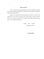 Luận án tiến sĩ Nông nghiệp: Nghiên cứu kỹ thuật trồng cây Xoan nhừ (Choerospondias axillaris (Roxb.) Burtt. et Hill) cung cấp gỗ lớn tại các tỉnh miền núi phía Bắc