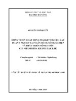 Tóm tắt luận văn thạc sĩ Quản trị kinh doanh: Hoàn thiện hoạt động marketing cho vay doanh nghiệp tại Ngân hàng Nông Nghiệp và Phát triển Nông Thôn - Chi nhánh Hòa Khánh Đăk Lăk