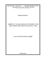 Luận án tiến sĩ Nông nghiệp: Nghiên cứu tạo gelatinase tái tổ hợp và ứng dụng trong thủy phân gelatin da cá Tra