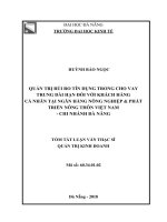 Tóm tắt luận văn Thạc sĩ Quản trị kinh doanh: Quản trị rủi ro tín dụng trong cho vay trung dài hạn đối với khách hàng cá nhân tại Ngân Hàng Nông Nghiệp & Phát Triển Nông Thôn Việt Nam - Chi
