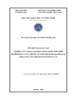 Nghiên cứu nâng cao khả năng sinh tổng hợp Huperzine A của chủng vi nấm hội sinh Penicillium sp. LĐL4.4 từ cây thạch tùng răng cưa (Luận văn thạc sĩ)