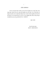 luận văn thạc sĩ phân tích và dự báo tài chính tại tổng công ty cổ phần bia   rượu   nước giải khát hà nội giai đoạn 2018   2023 