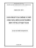 Luận án tiến sĩ Kinh tế: Giải pháp tài chính vi mô cho xóa đói giảm nghèo bền vững ở Việt Nam