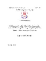 Luận án tiến sĩ Y học: Nghiên cứu tần suất, đặc điểm thalassemia và các bệnh hemoglobin trong cộng đồng dân tộc Khmer ở đồng bằng sông Cửu Long