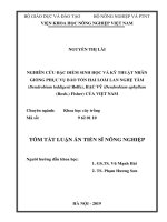 Tóm tắt Luận án tiến sĩ Nông nghiệp: Nghiên cứu đặc điểm sinh học và kỹ thuật nhân giống phục vụ bảo tồn hai loài lan Nghệ tâm (Dendrobium loddigesii Rolfe), Hạc vỹ (Dendrobium aphyllum (Rox