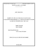 Tóm tắt Luận án tiến sĩ Lâm nghiệp: Nghiên cứu yêu cầu ánh sáng của Dẻ ăn quả (Castanopsis boisii hickel & A. Camus) ở giai đoạn tái sinh tại một số tỉnh đông bắc Việt Nam