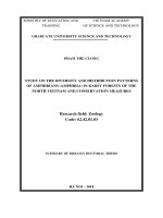 Summary Of Biology Doctoral Thesis: Study on the diversity and distribution patterns of Amphibians (Amphibia) in karst forests of the north Vietnam and conservation measures