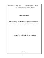 Luận án tiến sĩ Nông nghiệp: Nghiên cứu cadimi trong một số nhóm đất ở Việt Nam và tích luỹ cadimi trong rau ăn lá