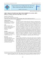 Thực trạng tổ chức dạy học trải nghiệm của giảng viên khoa sư phạm, trường Đại học Cần Thơ