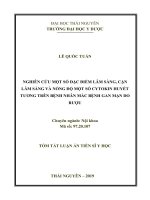 Tóm tắt Luận án tiến sĩ Y học: Nghiên cứu một số đặc điểm lâm sàng, cận lâm sàng và nồng độ một số cytokin huyết tương trên bệnh nhân mắc bệnh gan mạn do rượu