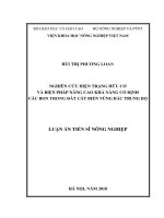 Luận án tiến sĩ Nông nghiệp: Nghiên cứu hiện trạng hữu cơ và biện pháp nâng cao khả năng cố định các bon trong đất cát biển vùng Bắc Trung Bộ