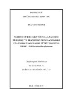 Tóm tắt Luận án tiến sĩ Hóa học: Nghiên cứu điều kiện thu nhận, xác định tính chất và thành phần monosaccharide của exopolysaccharide từ một số chủng thuộc loài Lactobacillus plantarum