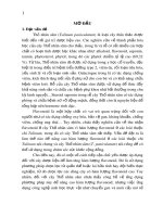 Tóm tắt Luận án tiến sĩ Sinh học: Nghiên cứu biểu hiện gen GmCHI liên quan đến tổng hợp flavonoid và cảm ứng tạo rễ tơ ở cây Thổ nhân sâm (Talinum paniculatum)