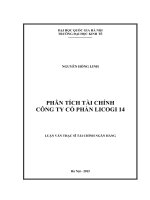 Luận văn thạc sĩ Tài chính Ngân hàng: Phân tích tài chính công ty cổ phần Licogi