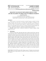 Semantic nuances of Vietnamese lexical units and the teaching of these units to foreign students