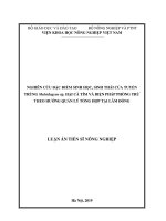 Luận án tiến sĩ Nông nghiệp: Nghiên cứu đặc điểm sinh học, sinh thái của tuyến trùng Meloidogyne sp. hại cà tím và biện pháp phòng trừ theo hướng quản lý tổng hợp tại Lâm Đồng