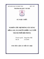 Tóm tắt Luận án tiến sĩ Y học: Nghiên cứu dự phòng sâu răng bằng gel Fluor ở người cao tuổi thành phố Hải Phòng