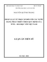 Luận án tiến sĩ Luật học: Pháp luật về trợ cấp đối với các nước đang phát triển theo quy định của WTO – Bài học với Việt Nam