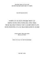 NGHIÊN CỨU ĐA DẠNG SINH HỌC ĐỘNG VẬT KHÔNG XƯƠNG SỐNG Ở SÔNG ĐÁY, SÔNG NHUỆ THUỘC ĐỊA PHẬN TỈNH HÀ NAM VÀ SỰ BIẾN ĐỔI CỦA NÓ DƯỚI ẢNH HƯỞNG CỦA CÁC HOẠT ĐỘNG KINH TẾ, XÃ HỘI
