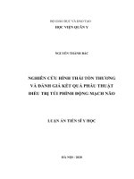 NGHIÊN CỨU HÌNH THÁI TỔN THƯƠNG VÀ ĐÁNH GIÁ KẾT QUẢ PHẪU THUẬT ĐIỀU TRỊ TÚI PHÌNH ĐỘNG MẠCH NÃO
