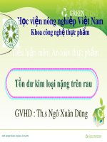 Bài thuyết trình An toàn thực phẩm: Tồn dư kim loại nặng trên rau