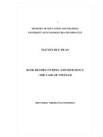 Doctoral thesis in Economics: Bank restructuring and efficiency the case of Vietnam