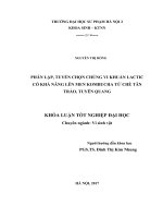 Phân lập, tuyển chọn chủng vi khuẩn lactic có khả năng lên men kombucha từ chè tân trào, tuyên quang (2017) 