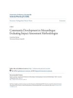 Accounting undergraduate Honors theses: Community development in mozambique -  Evaluating impact assessment methodologies