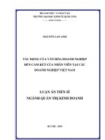 Luận án Tiến sĩ ngành Quản trị kinh doanh: Tác động của văn hóa doanh nghiệp đến cam kết của nhân viên tại các doanh nghiệp Việt Nam