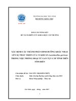 Báo cáo nghiên cứu khoa học cấp trường: Xác định các thành phần dinh dưỡng khác nhau lên sự phát triển của vi khuẩn Lactobacillus garvieae trong việc phòng hoại tử gan tụy cấp tính trên tôm