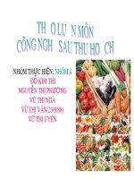 Thảo luận nhóm: Công nghệ sau thu hoạch - Hãy nêu cấu tạo và sự biến đổi sinh hóa của thịt Bò sau khi giết mổThảo luận nhóm: Công nghệ sau thu hoạch - Hãy nêu cấu tạo và sự biến đổi sinh
