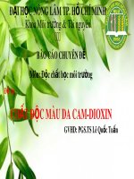 Báo cáo: Chất độc màu da cam-dioxin