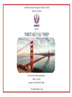 ĐỒ án cầu THÉP 15m