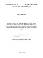 Tóm tắt luận án Tiến sĩ Nông nghiệp: Nghiên cứu khả năng cố định Carbon của rừng trồng Thông mã vĩ (Pinus massoniana Lambert) và Thông nhựa (Pinus merkusii Jungh et. de Vriese) làm cơ sở
