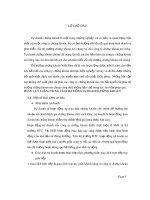 Tiểu luận: Hoạt động tự doanh chứng khoán