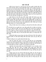 Bài tiểu luận: Thực trạng giao đất, giao rừng trong lâm nghiệp