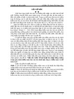 Luận văn tốt nghiệp: Một số ý kiến về kỹ thuật thu thập bằng chứng trong quá trình kiểm toán báo cáo tài chính tại Công ty Kiểm toán và Kế toán ACC