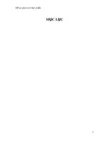 Đồ án phân tích thực phẩm: Tìm hiểu về nguồn gốc, thành phần dinh dưỡng, lợi ích có trong Táo