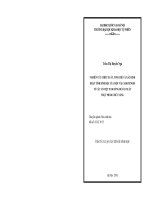 Tóm tắt luận án Tiến sĩ Sinh học: Nghiên cứu chiết xuất, tinh chế và xác định hoạt tính sinh học của một vài Carotenoid từ cây cỏ Việt Nam dùng để sản xuất thực phẩm chức năng