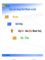 Bài giảng Cấu trúc dữ liệu và giải thuật: Cây cân bằng Red Black và AA - Nguyễn Tri Tuấn