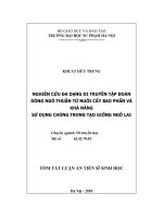 Tóm tắt luận án Tiến sĩ Sinh học: Nghiên cứu đa dạng di truyền tập đoàn dòng ngô thuần từ nuôi cấy bao phấn và khả năng sử dụng chúng trong tạo giống ngô lai