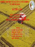 Bài tiểu luận An toàn lao động: Chấn động trong sản xuất