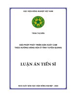 Giải pháp phát triển sản xuất cam theo hướng hàng hóa ở tỉnh tuyên quang 